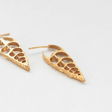 Coquilles slice earrings gold