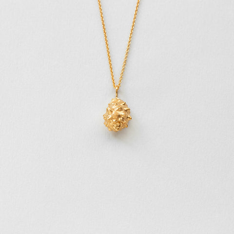 Coquilles ris necklace gold