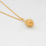 Coquilles ris necklace gold