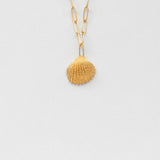 Coquilles venus necklace gold