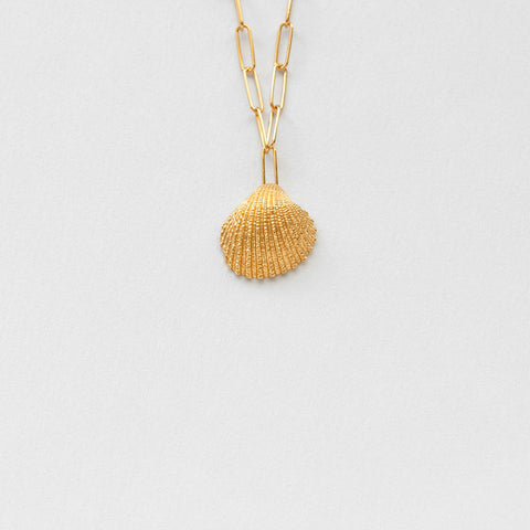 Coquilles venus necklace gold