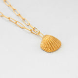Coquilles venus necklace gold