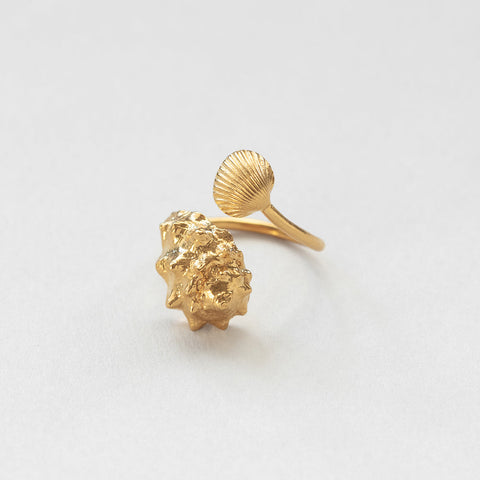 Coquilles ris ring gold