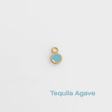 tequila agave