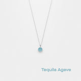 tequila agave
