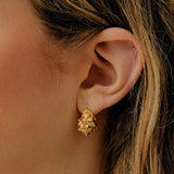 Coquilles ris earrings gold
