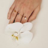 Fizzy amethyst & white topaz ring 14K yellow gold