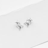 Gazing double earrings silver