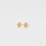 2021 Toy daisy stud earrings 14K yellow gold